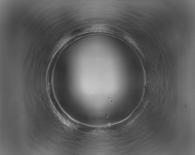 X0000054441082200507291311