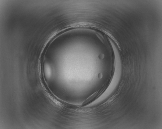 X0000054441083200507291311