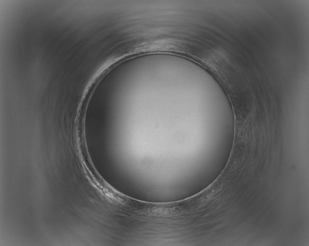 X0000054441086200507291311