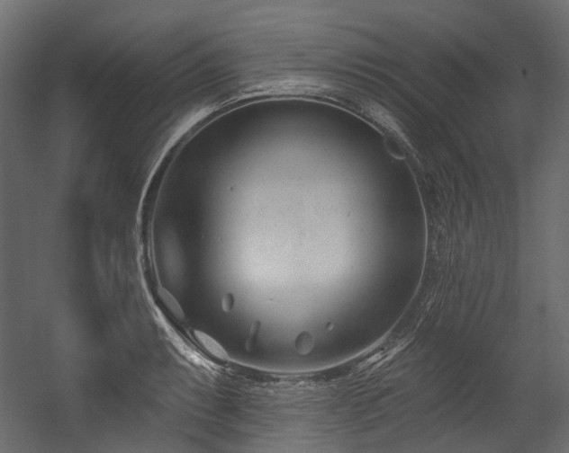 X0000054441087200507291311