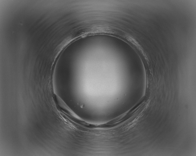 X0000054441089200507291311