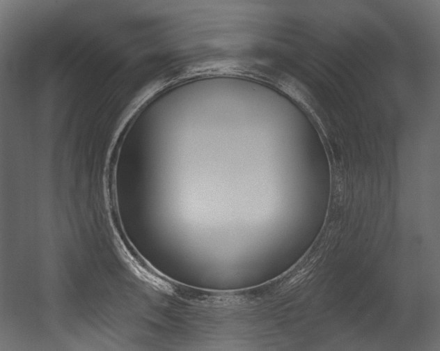 X0000054441090200507291311