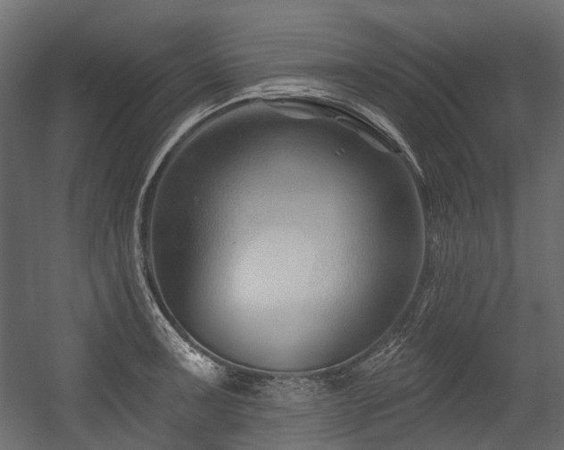 X0000054441091200507291311