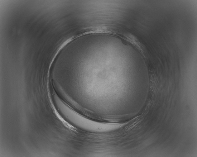 X0000054441095200507291311
