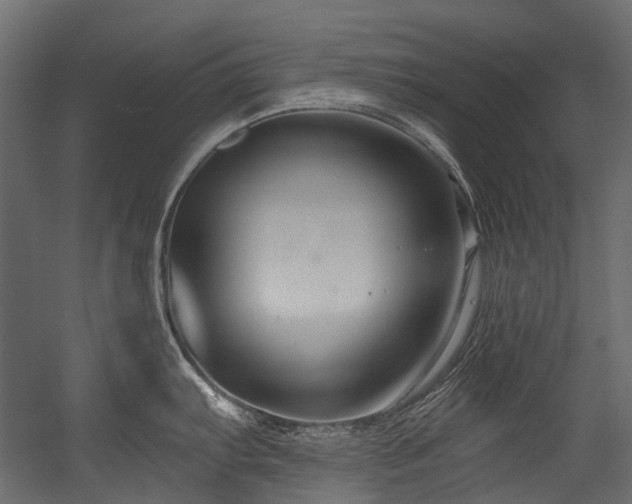 X0000054441103200507291311