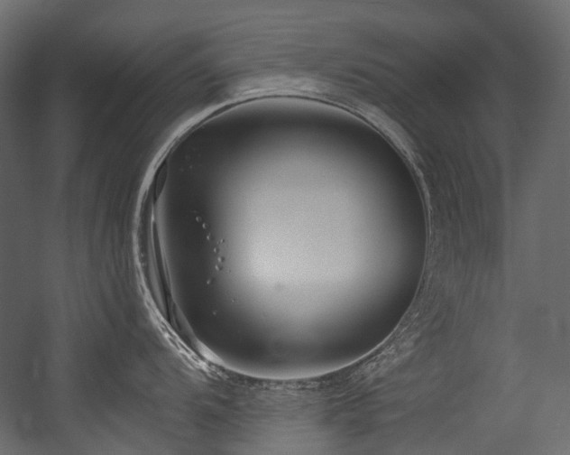 X0000054441104200507291311