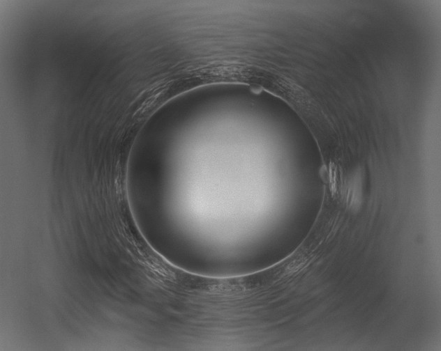 X0000054441107200507291310