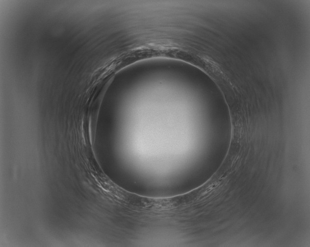 X0000054441110200507291310