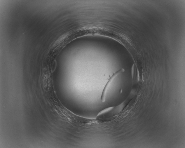 X0000054441111200507291310
