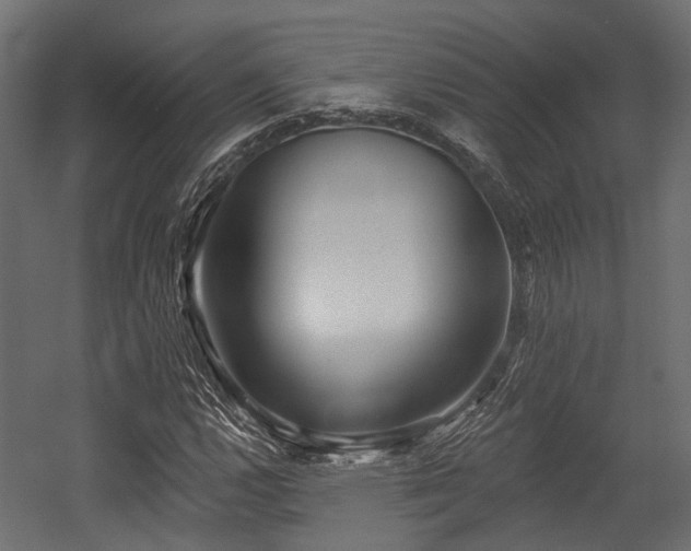 X0000054441112200507291310