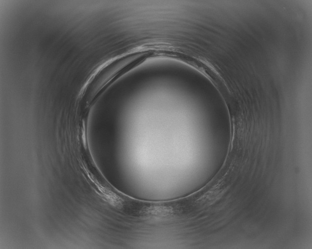 X0000054441115200507291310