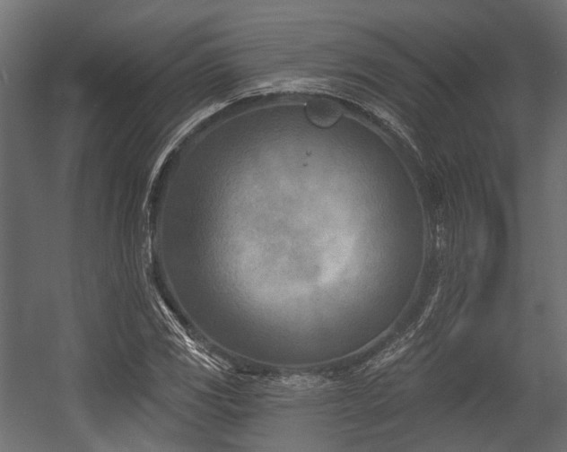 X0000054441117200507291310