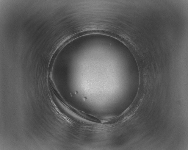 X0000054441121200507291310