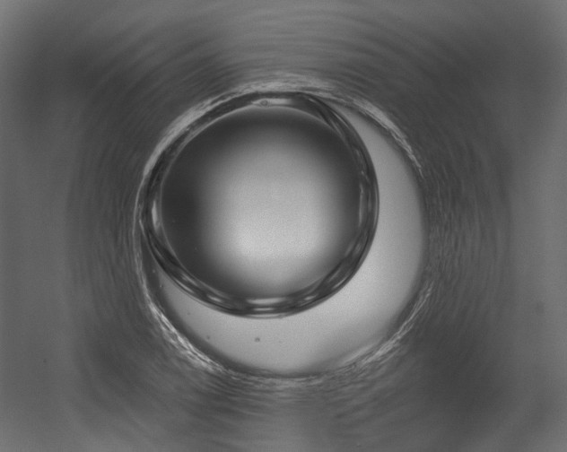 X0000054441122200507291310