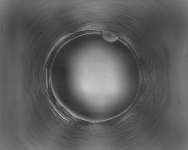 X0000054441123200507291310