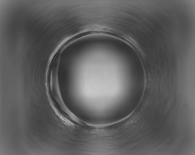 X0000054441128200507291311