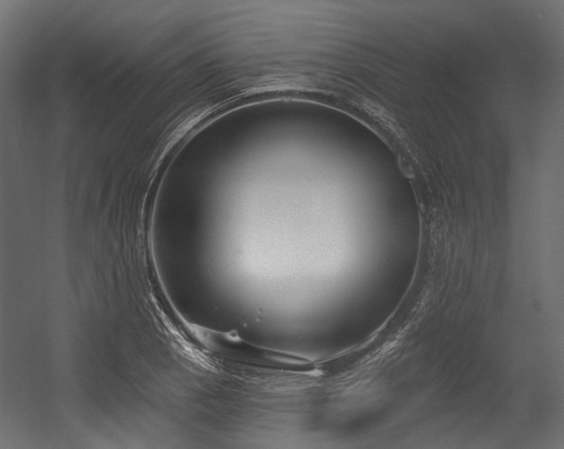 X0000054441129200507291311