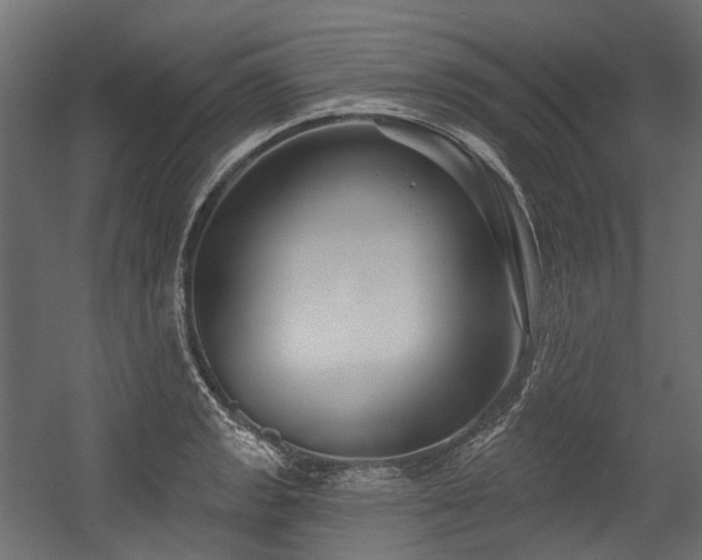 X0000054441133200507291311