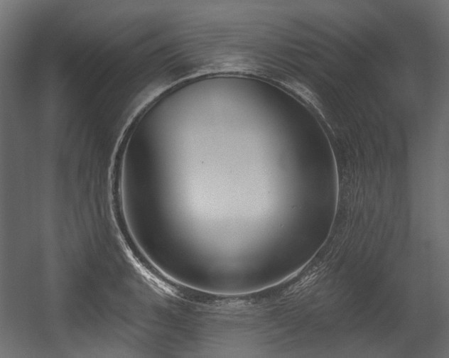 X0000054441135200507291311