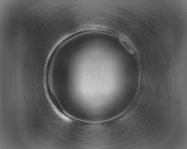 X0000054441136200507291311
