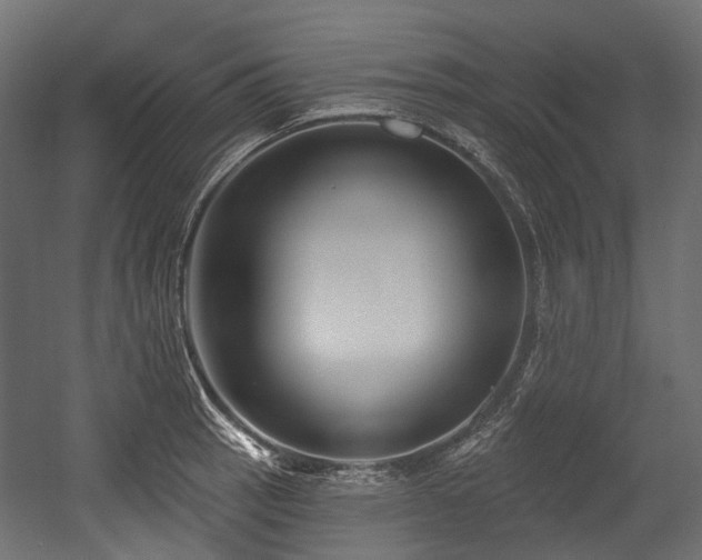 X0000054441137200507291311
