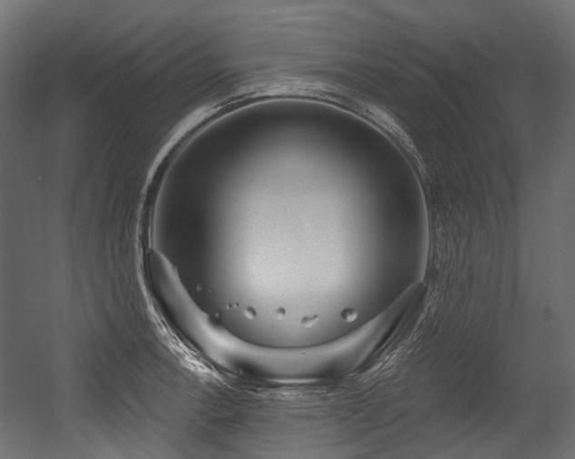 X0000054441138200507291311