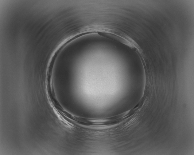 X0000054441144200507291311