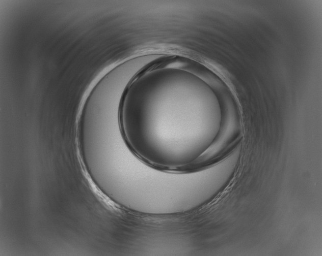 X0000054441152200507291311