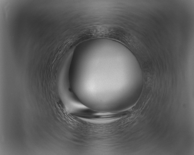 X0000054441153200507291310