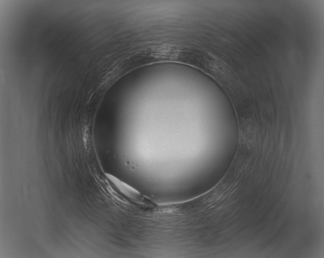X0000054441154200507291310