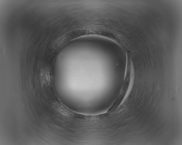 X0000054441155200507291310