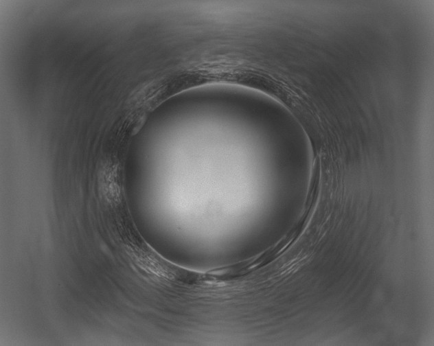 X0000054441156200507291310