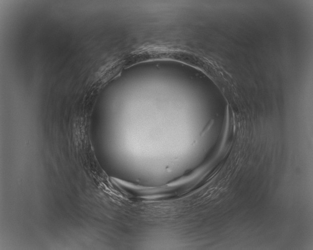 X0000054441157200507291310