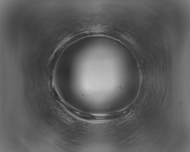 X0000054441160200507291310