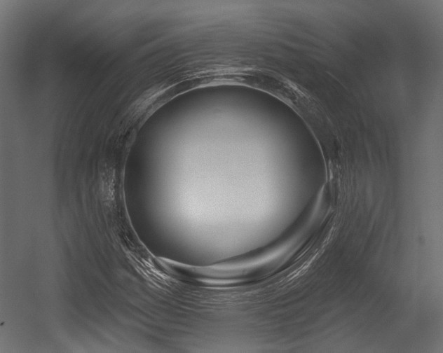 X0000054441161200507291310