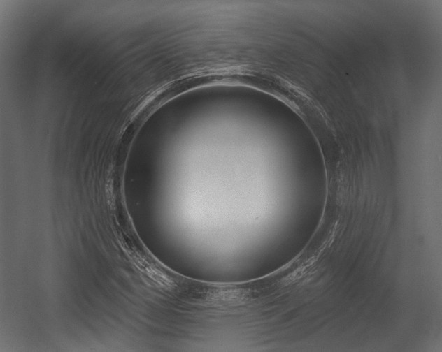 X0000054441162200507291310