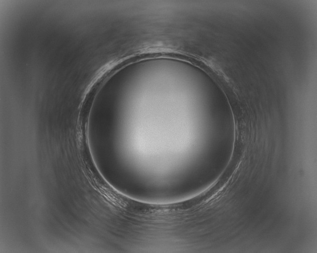 X0000054441167200507291310