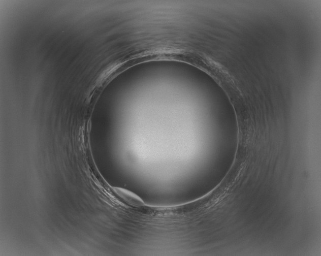 X0000054441169200507291310