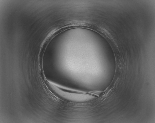 X0000054441172200507291310