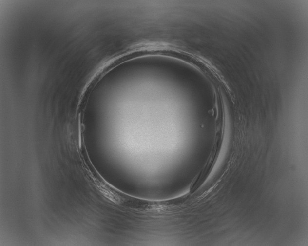 X0000054441175200507291310