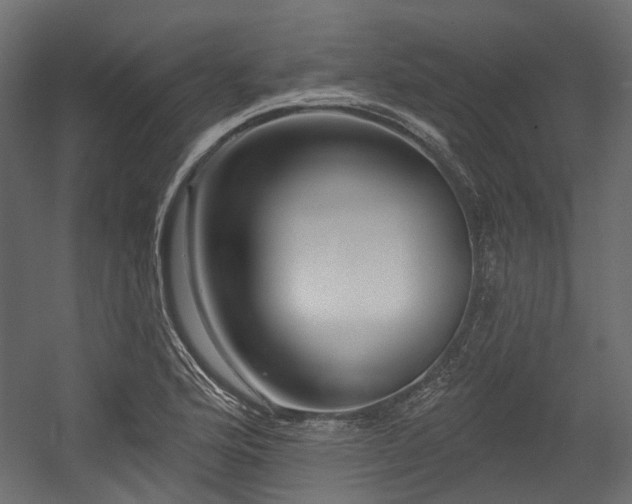 X0000054441176200507291310