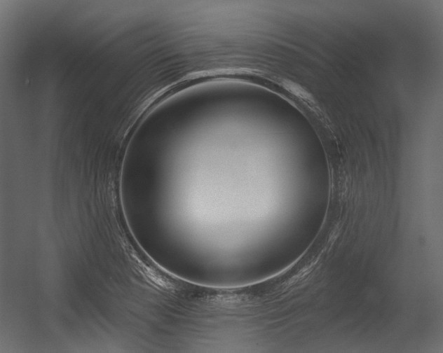 X0000054441177200507291310
