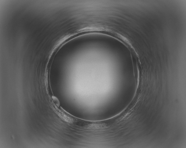 X0000054441179200507291310