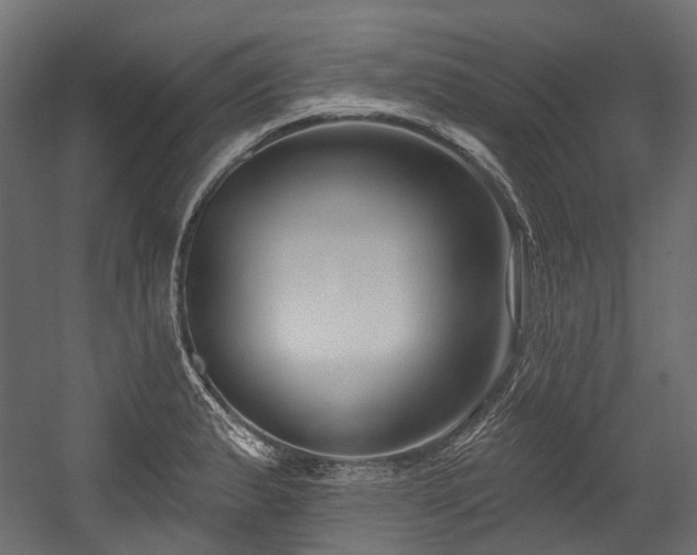 X0000054441183200507291310
