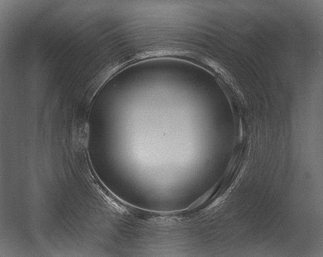 X0000054441185200507291310