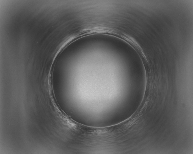 X0000054441190200507291309