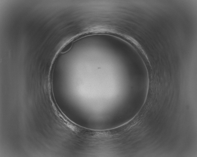 X0000054441191200507291309