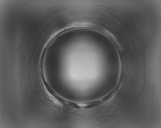 X0000054441192200507291309