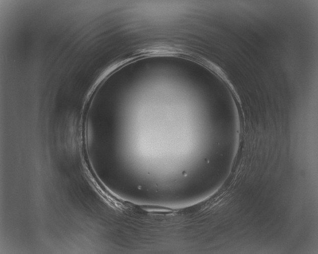 X0000054441195200507291309
