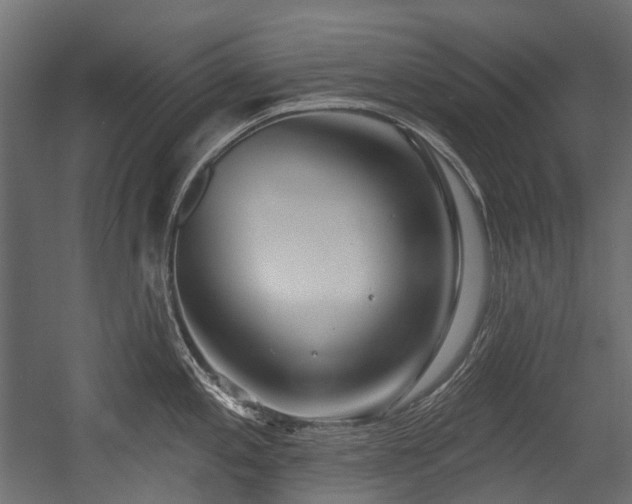 X0000054441197200507291309
